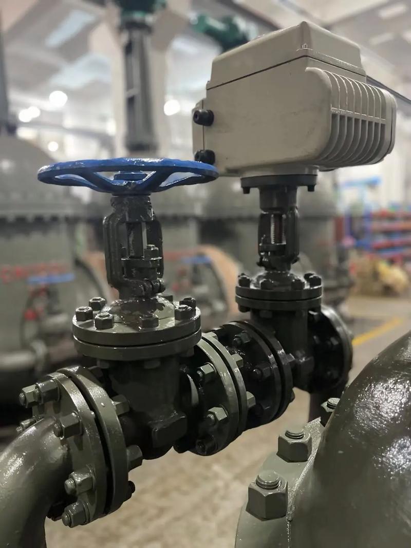 电动旁通短系列闸阀Z941H-16C DN600在水电站中的应用与优势分析